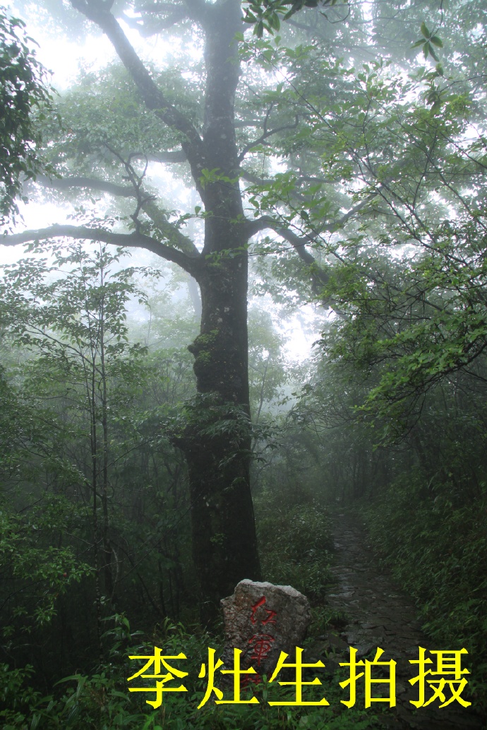 桂林猫儿山老山界,老山界猫儿山