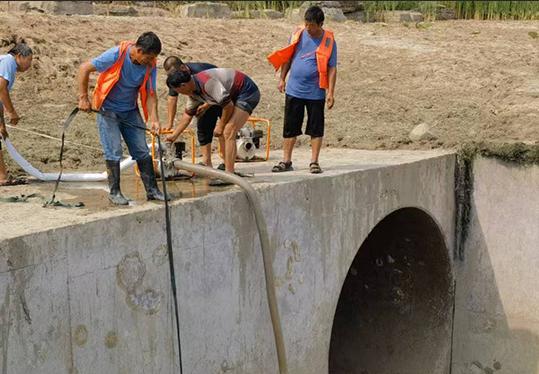 为什么鳄雀鳝能存活1亿年,捕捉一只鳄雀鳝有多难