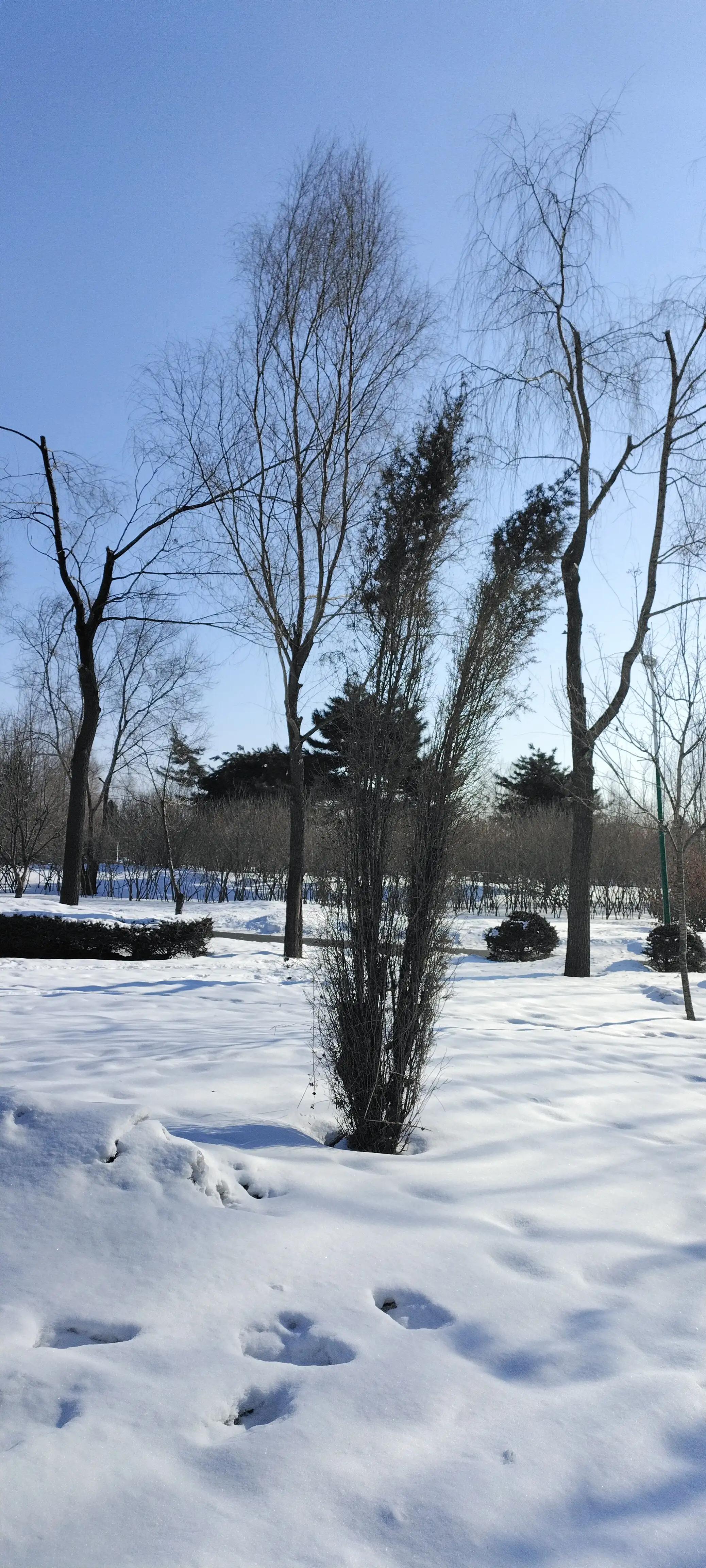 春天里的人们结局,春天里的雪古诗