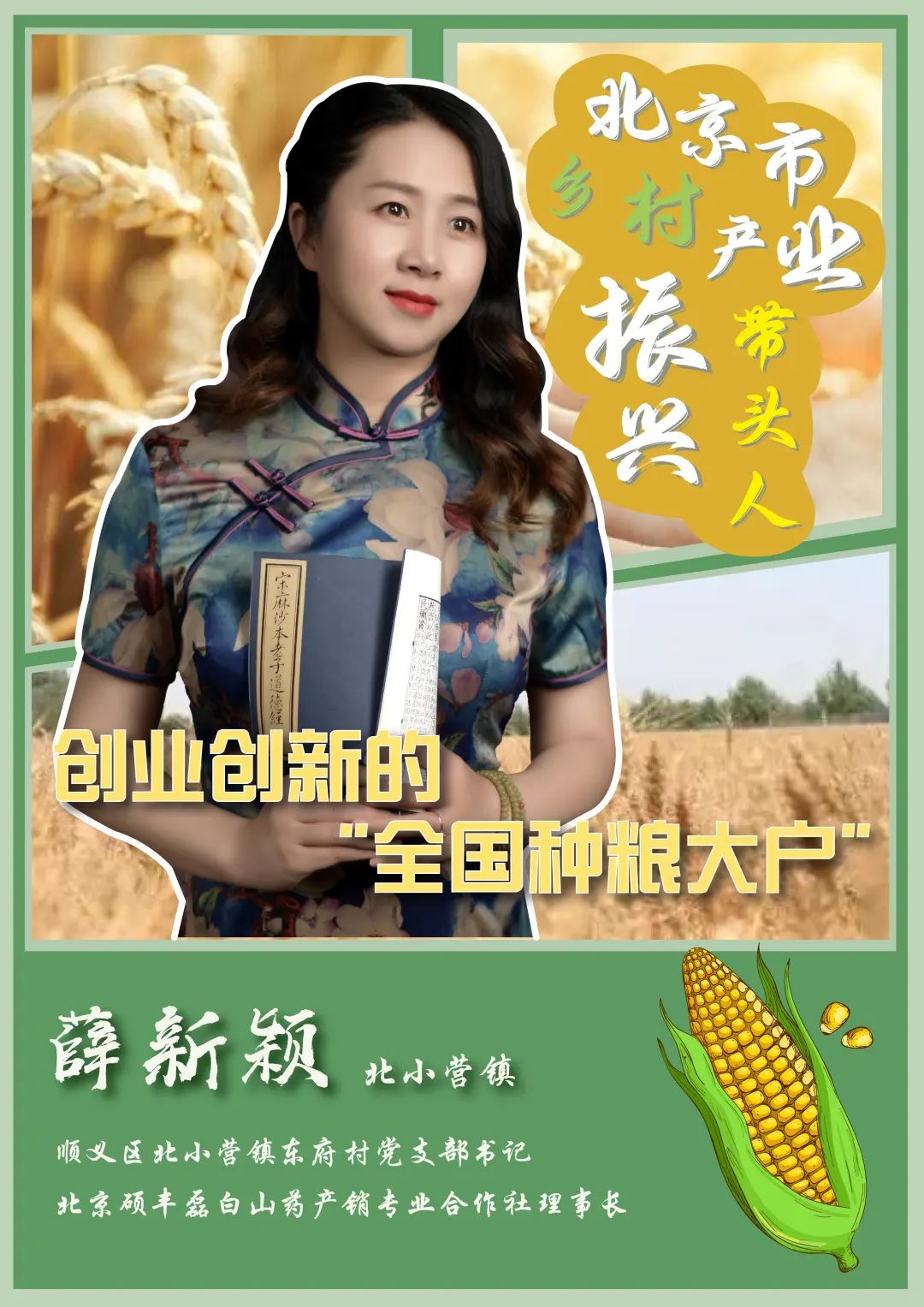 乡村产业振兴带头人头雁计划,2023年乡村振兴带头人头雁项目