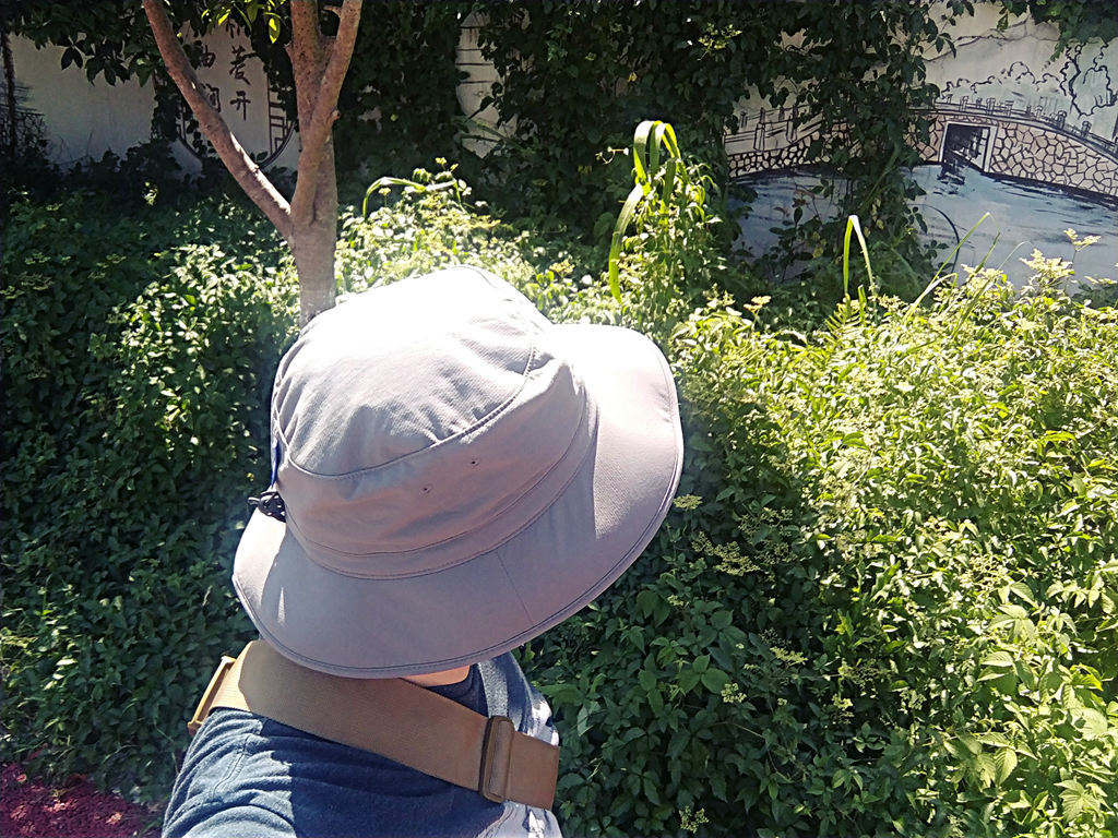 奔尼帽大牌,奔尼帽纯色