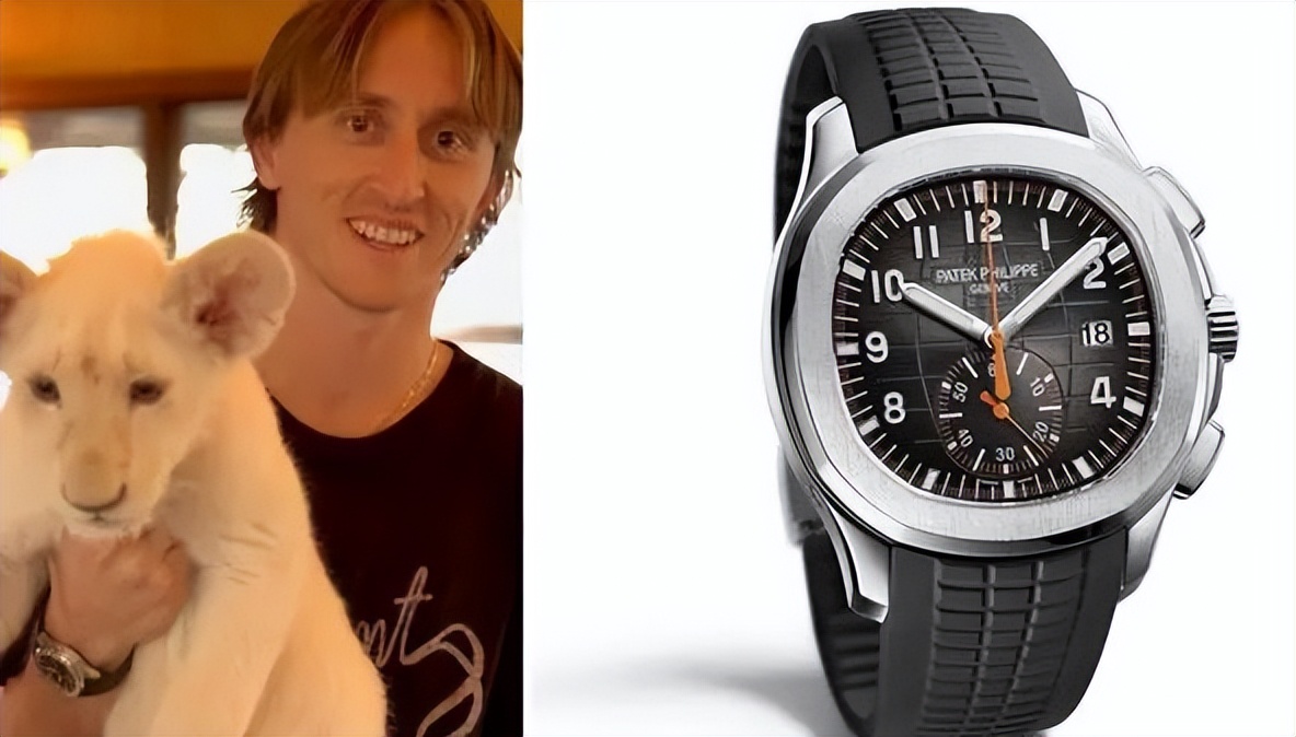 卡塔尔世界杯球星戴什么表,卡塔尔世界杯球星介绍面板