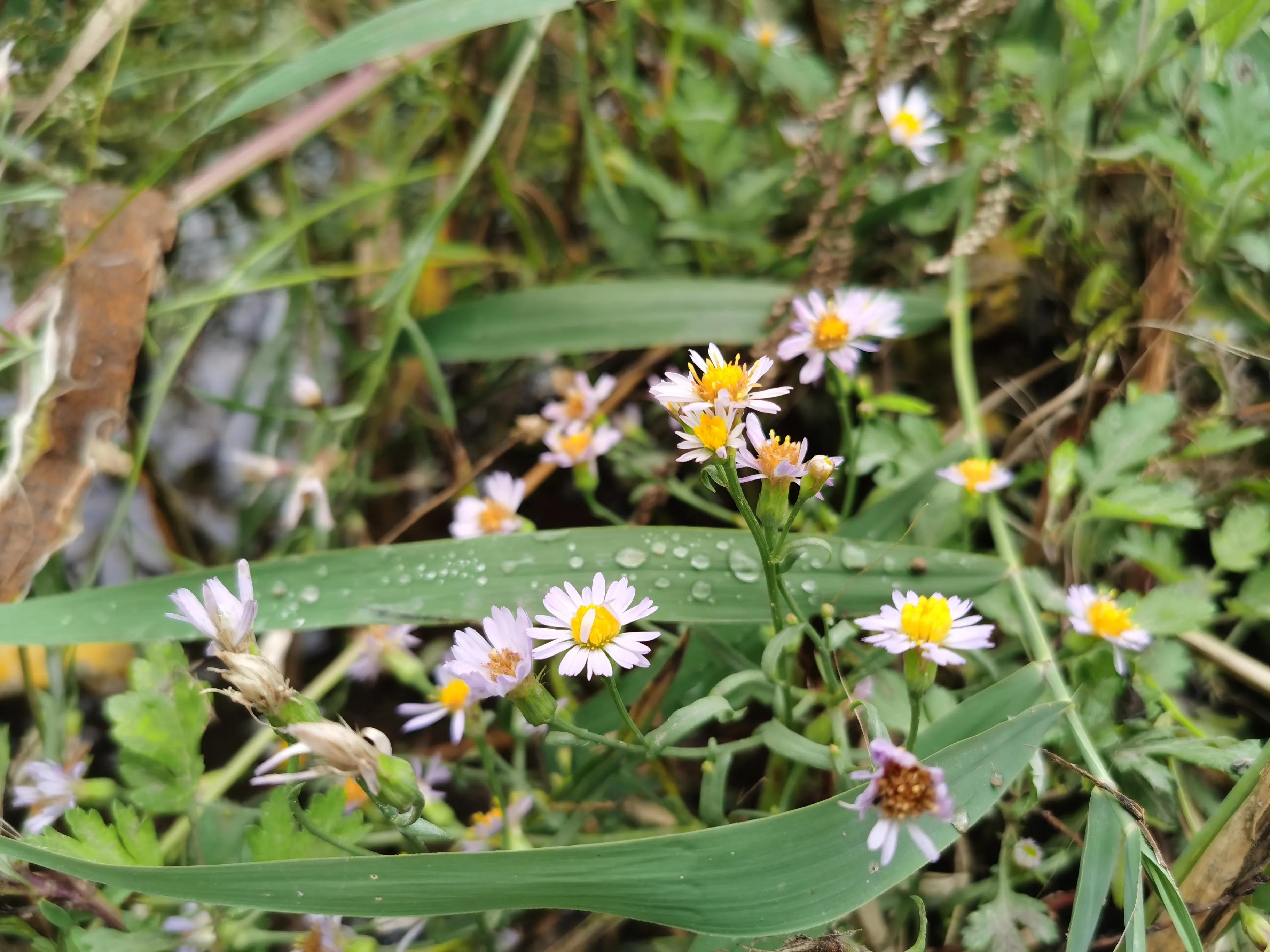 在职场遇到不开心该怎么办,职场上工作不开心怎么办
