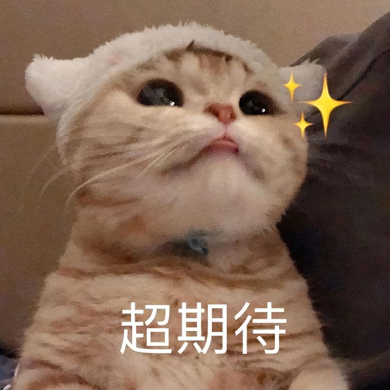 20岁眼霜有必要买贵的吗,20几岁的女孩子不要买很多奢侈品