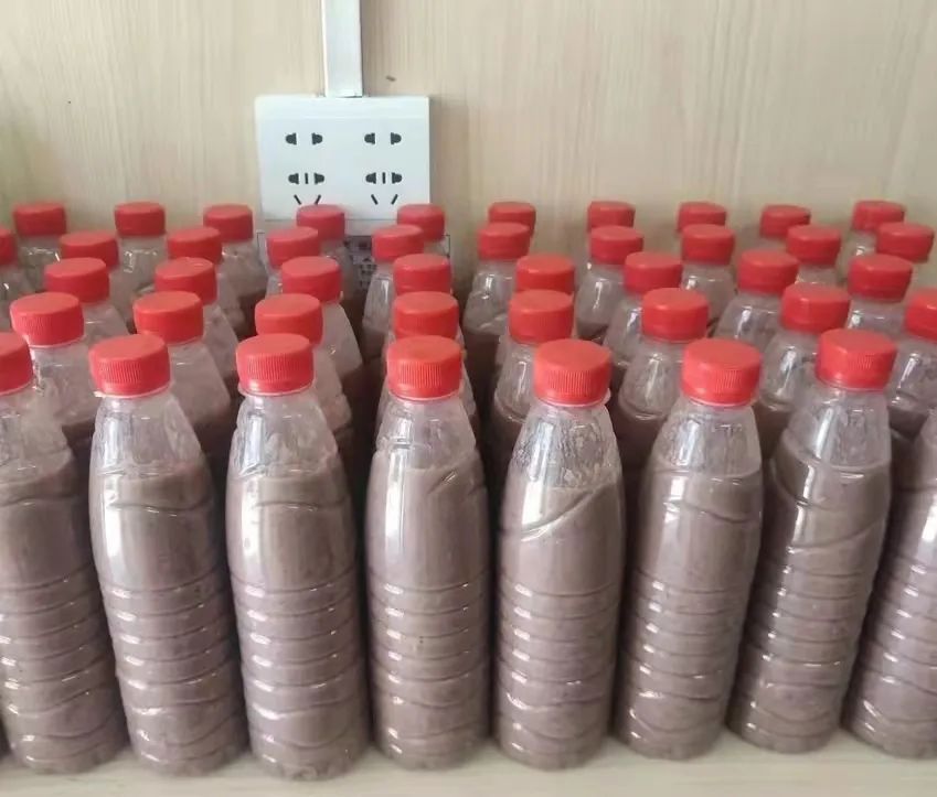 到海南买的特产,去海南买水果特产