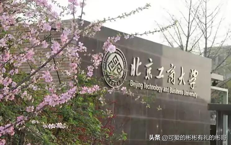 北京工商大学好就业吗,北京工商大学就业前景怎么样