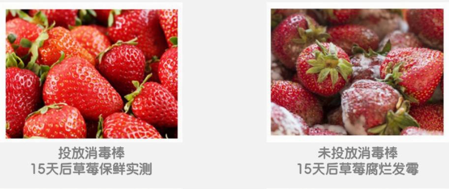 冰箱除异味有妙招！什么东西除冰箱异味最快