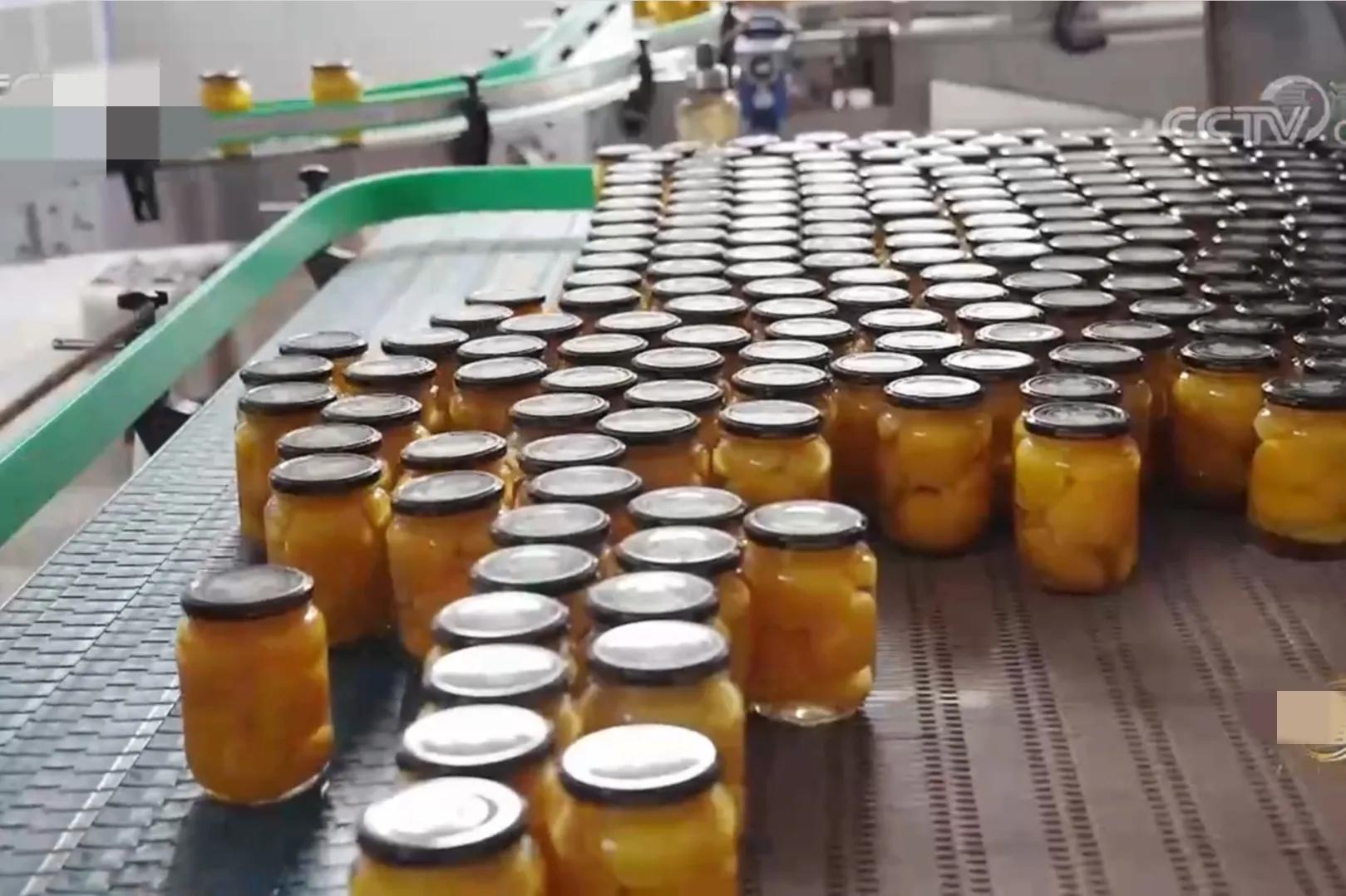 山东女子承包500亩荒山，如今荒山变成聚宝盆，一年收入900多万元