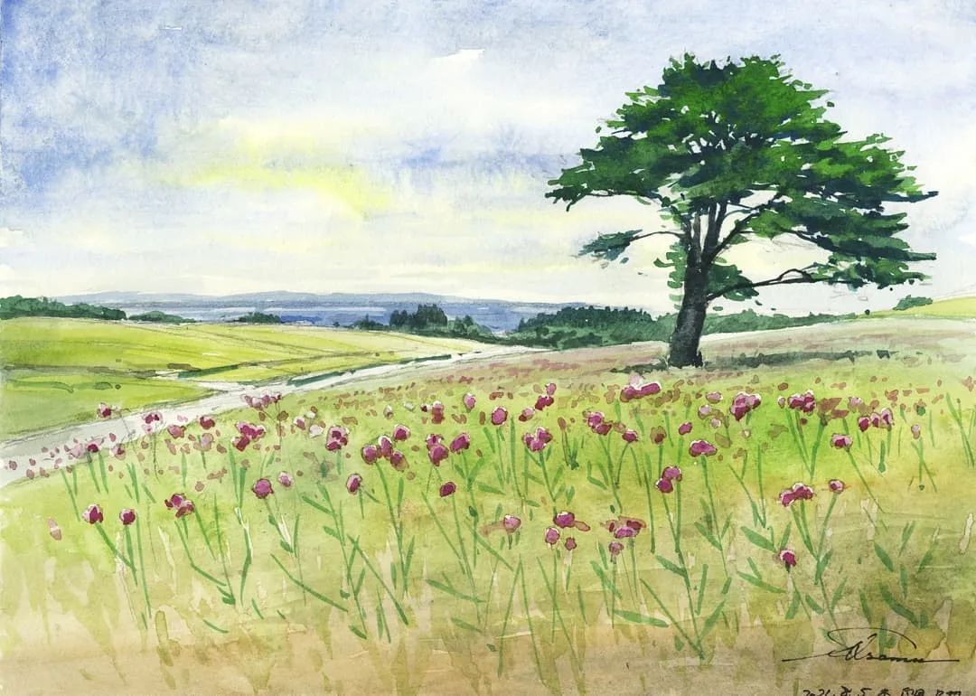 他放弃年薪千万的工作回乡创业,他放弃高薪工作选择回家创业