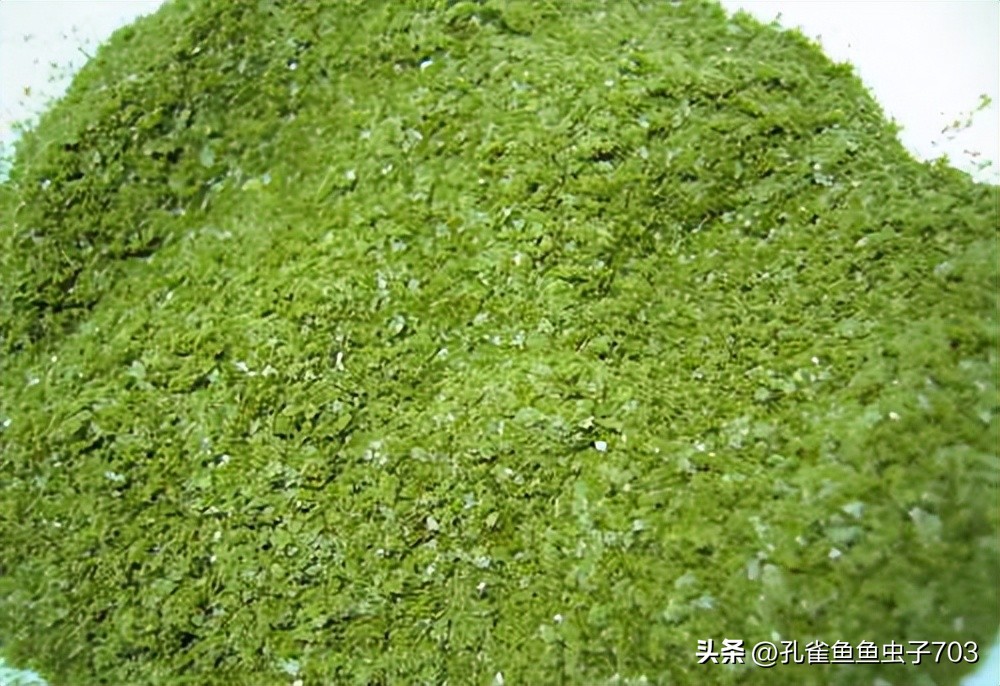 春季鱼为什么死亡如何救活,自己养的鱼无征兆死亡怎么回事