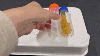 龟兔赛跑乌龟赢了却不开心,新编龟兔赛跑兔子赢了闷闷不乐