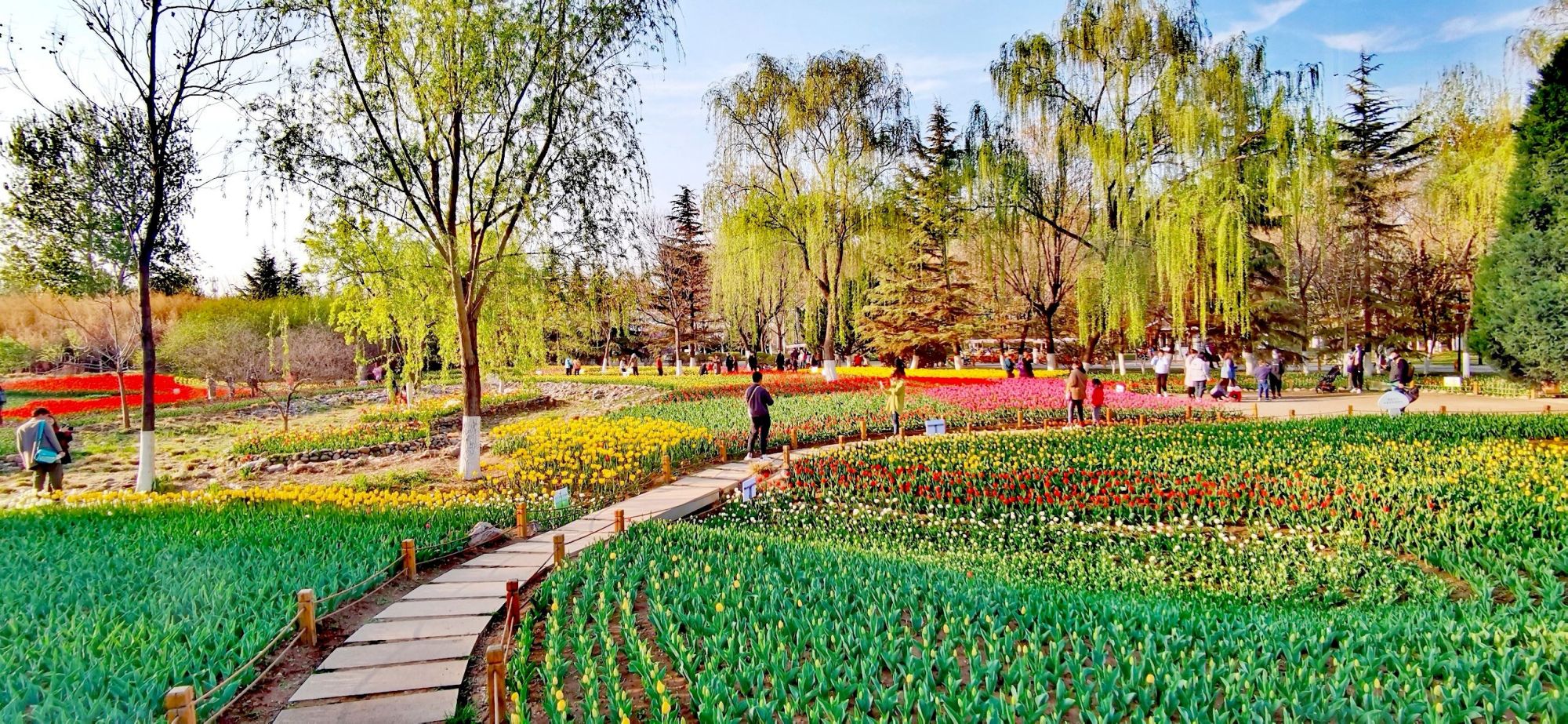 济南值得推荐的休闲好去处,济南都有啥好地方