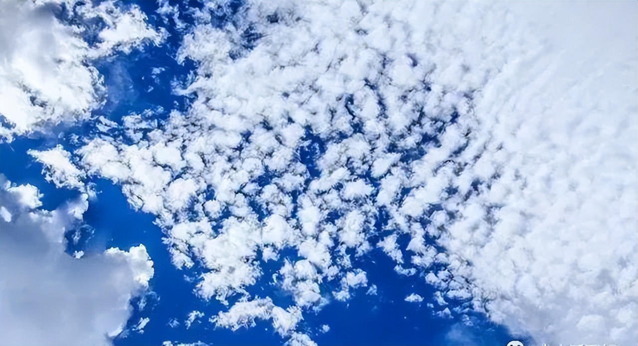 姣忔棩璇昏瘲璇嶉鑺变护,涓嶇晱娴簯閬湜鐪煎彧缂樿韩鍦ㄦ诞浜戜笂