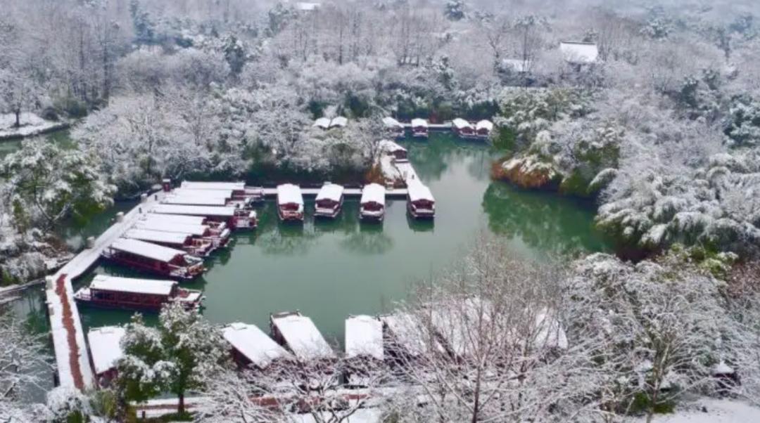 春天的潺潺溪水,春天的顶流