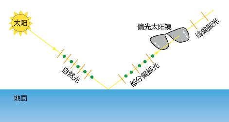 偏光太阳镜和防眩光有什么区别,日夜两用的太阳镜防不防眩光