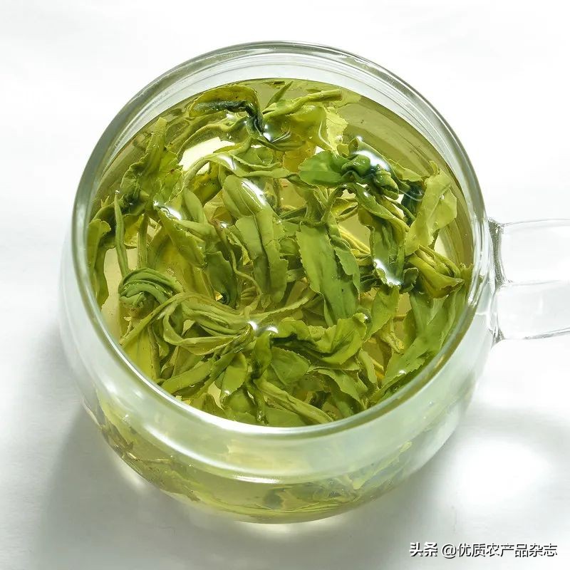 白教授讲茶故事：贵州“绿宝石”让天下人喝上干净茶