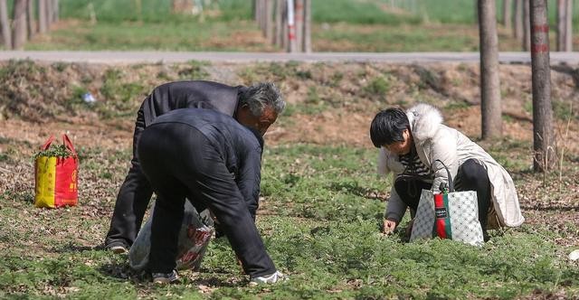 一颗老鼠屎坏了一锅粥的配图,一颗老鼠屎坏了一锅粥文字图片