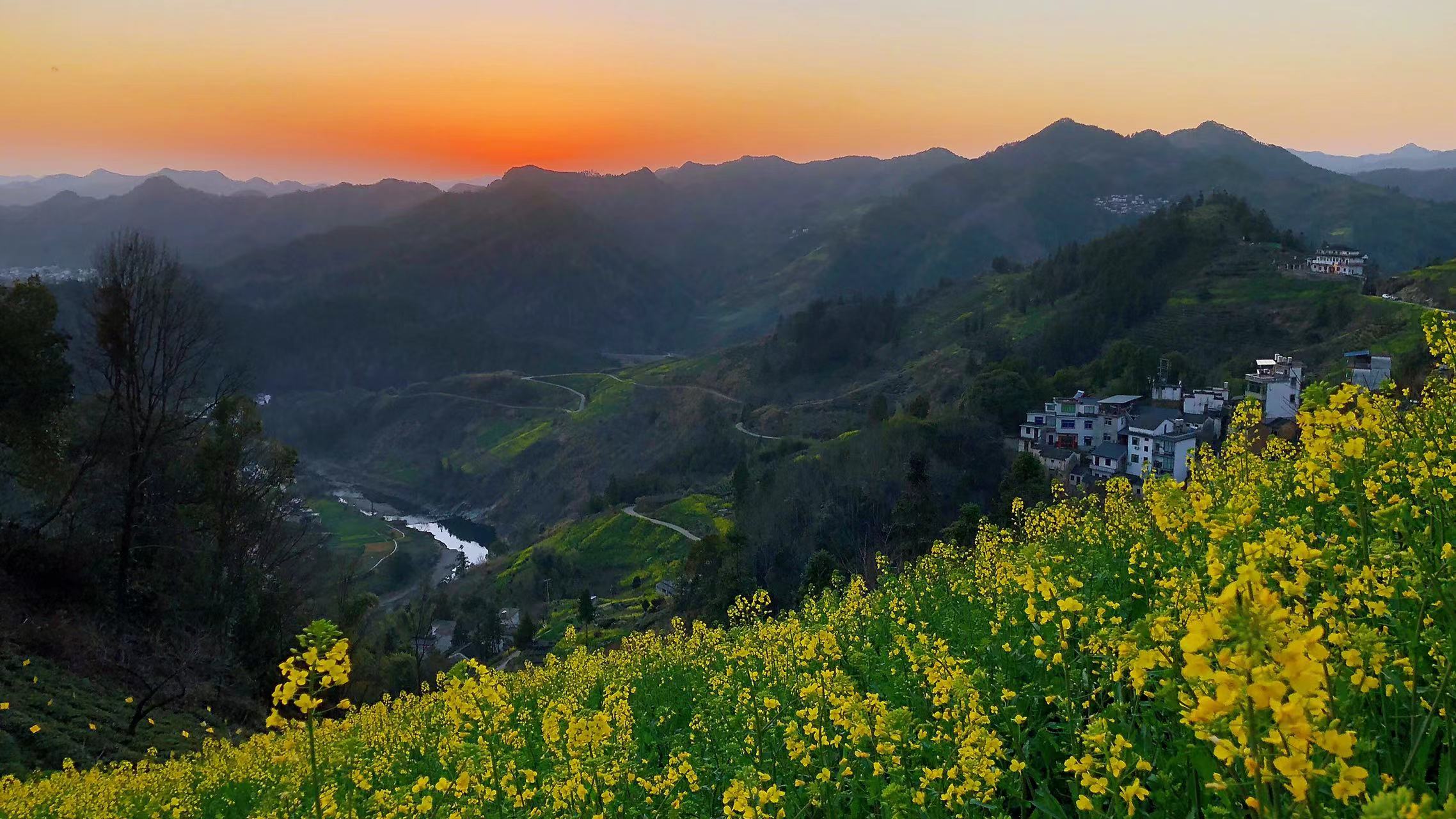 自驾免费看云海的好地方,江浙沪最美自驾公路西山