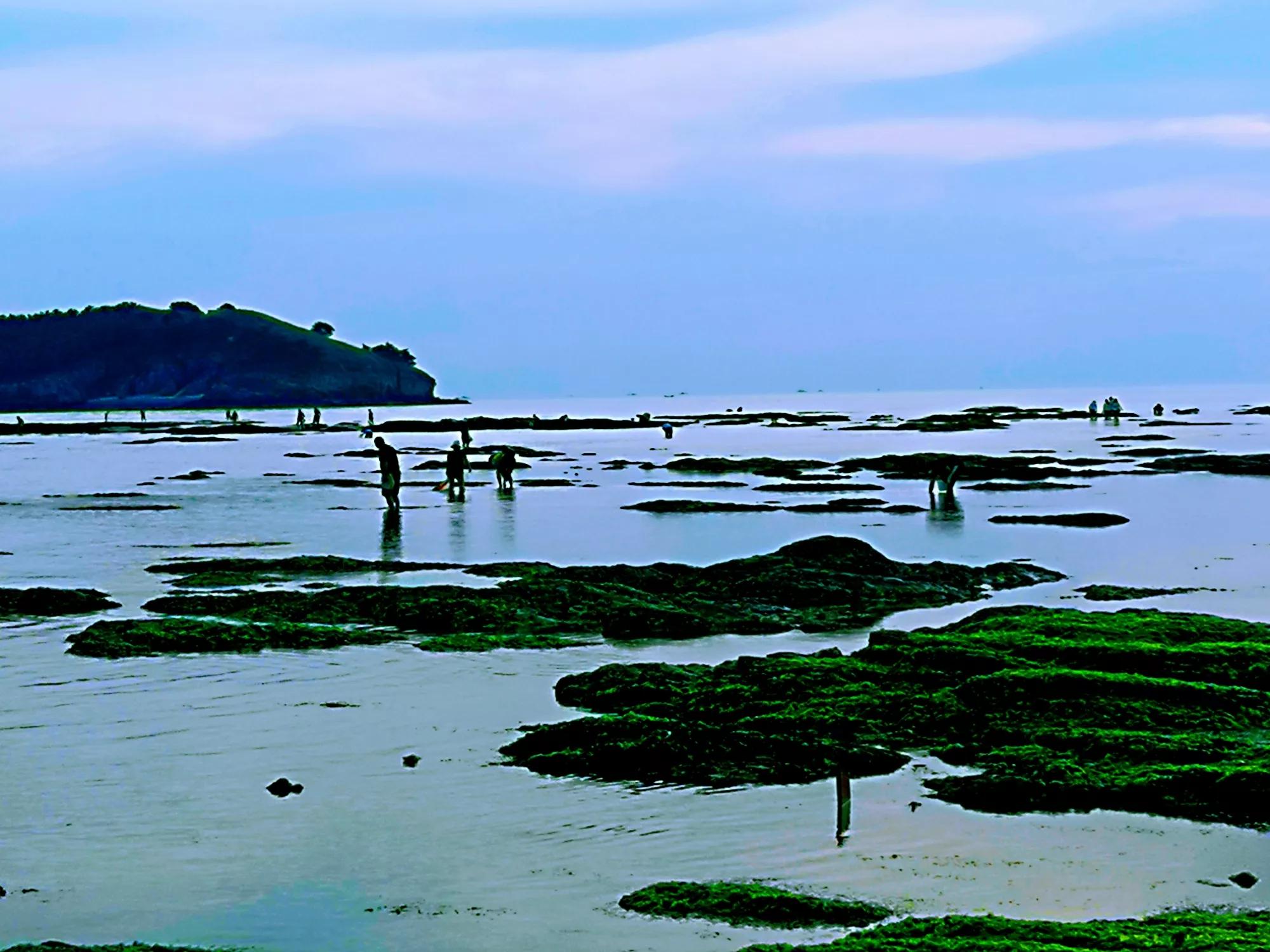 回眸秋日走过的大连青山碧海（二）（大连石槽至星海广场）