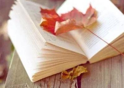 大雪小雪又一年主题曲,大雪小雪又一年原视频