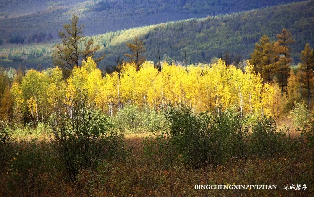 秋天大兴安岭最美的地方,秋天美丽的大兴安岭