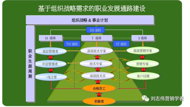 员工职业生涯规划ppt模板,职业生涯规划课件完整版ppt