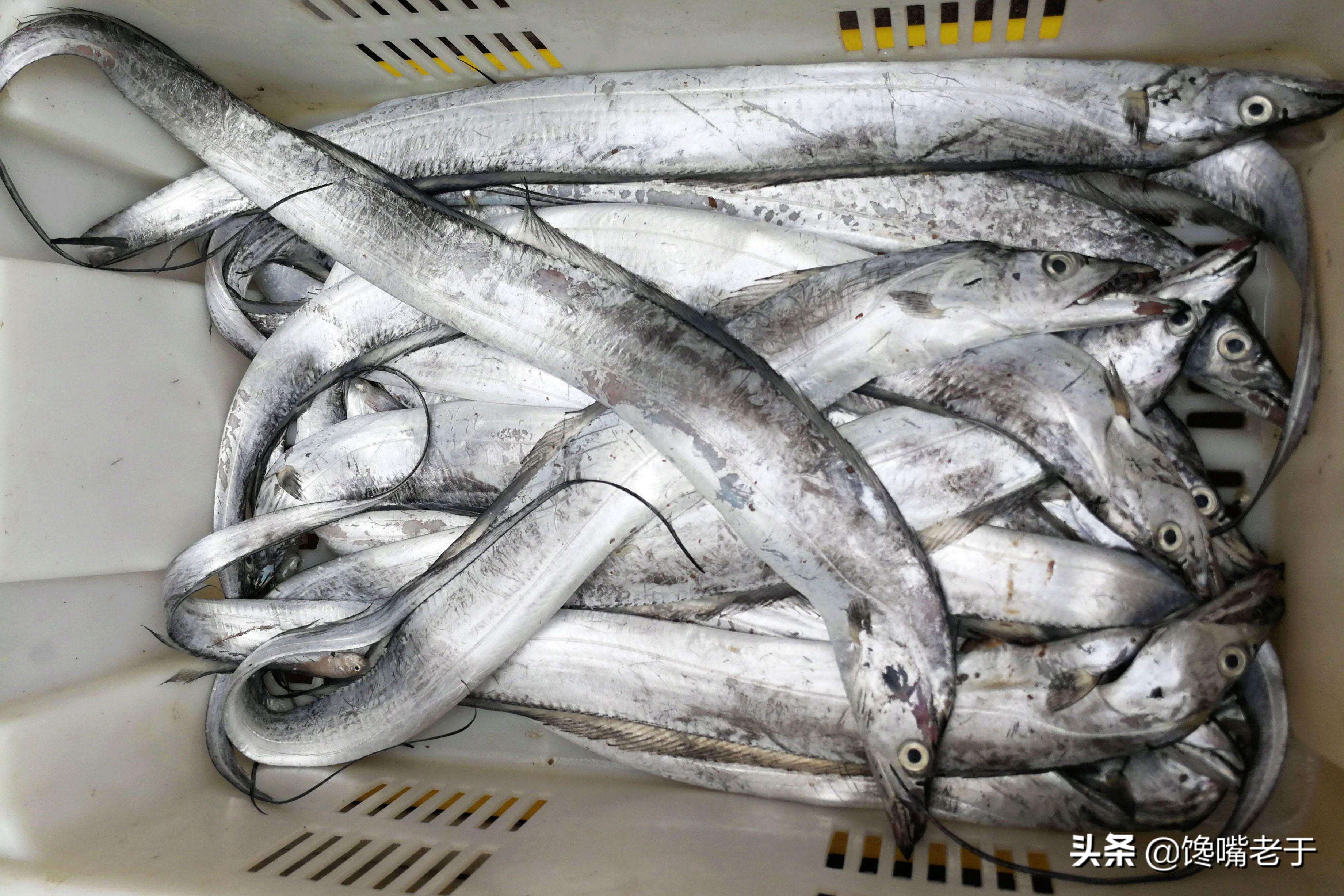 买带鱼注意这几个地方,买带鱼眼珠黑好还是白好