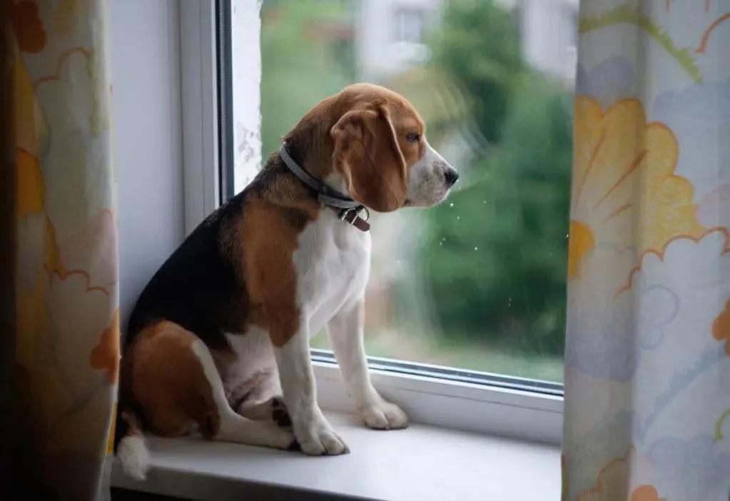 早起可以提高工作效率,工作老是发呆怎么解决