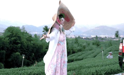 虞书欣讨喜视频,虞书欣为什么越作越火