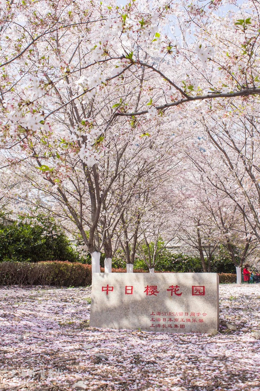 虹口体育场馆膜结构厂商,虹口体育场最新消息