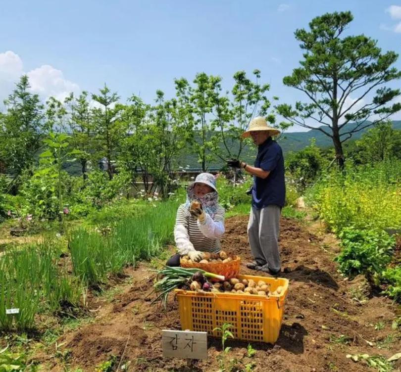 文在寅卸任韩国总统的原因,文在寅总统的退休生活