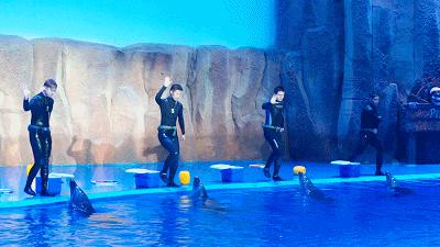 西安炎炎夏日游玩攻略,西安避暑纳凉好去处都市快报