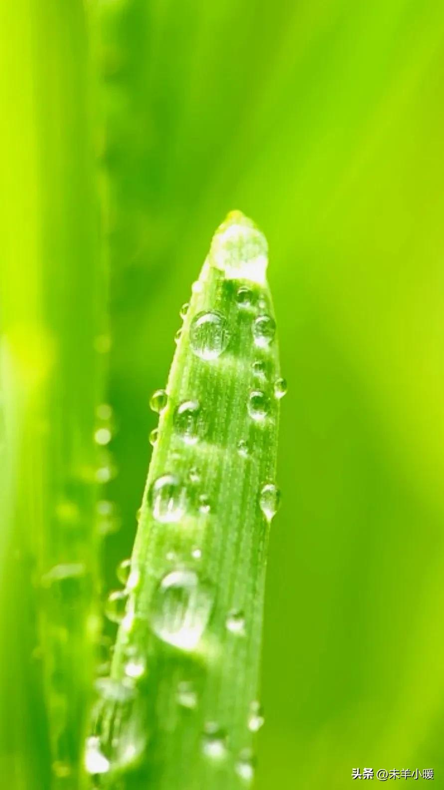 最美的手机壁纸大全,养眼养心的壁纸