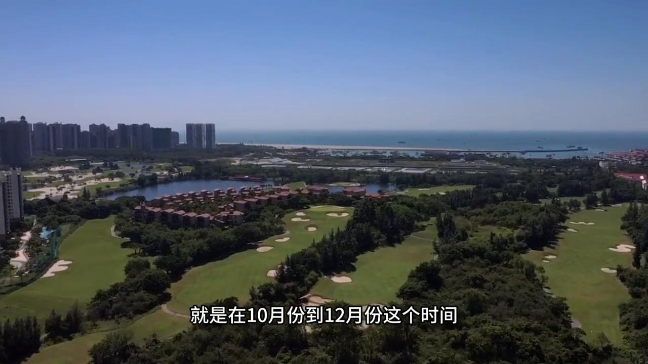 北海比起三亚到底差在哪,冬天北海和三亚温度差别多大