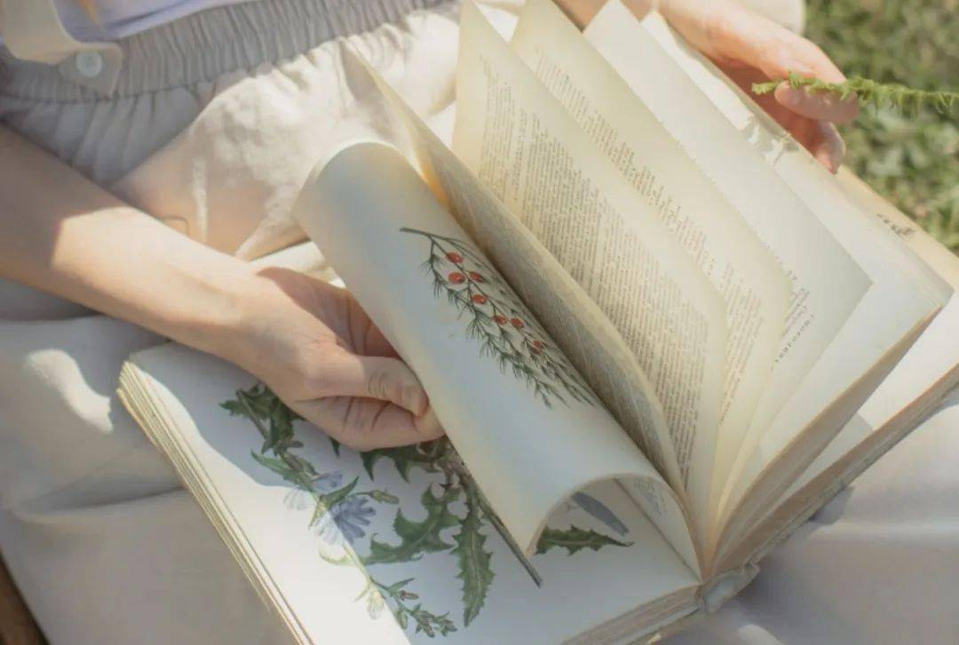 文史英华全15册,文史精华典藏版