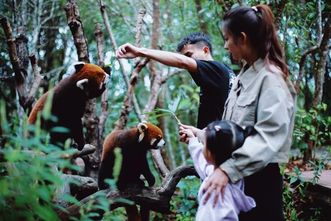 有一种生活叫云南的怒江,有一种生活叫云南生活发布会图片