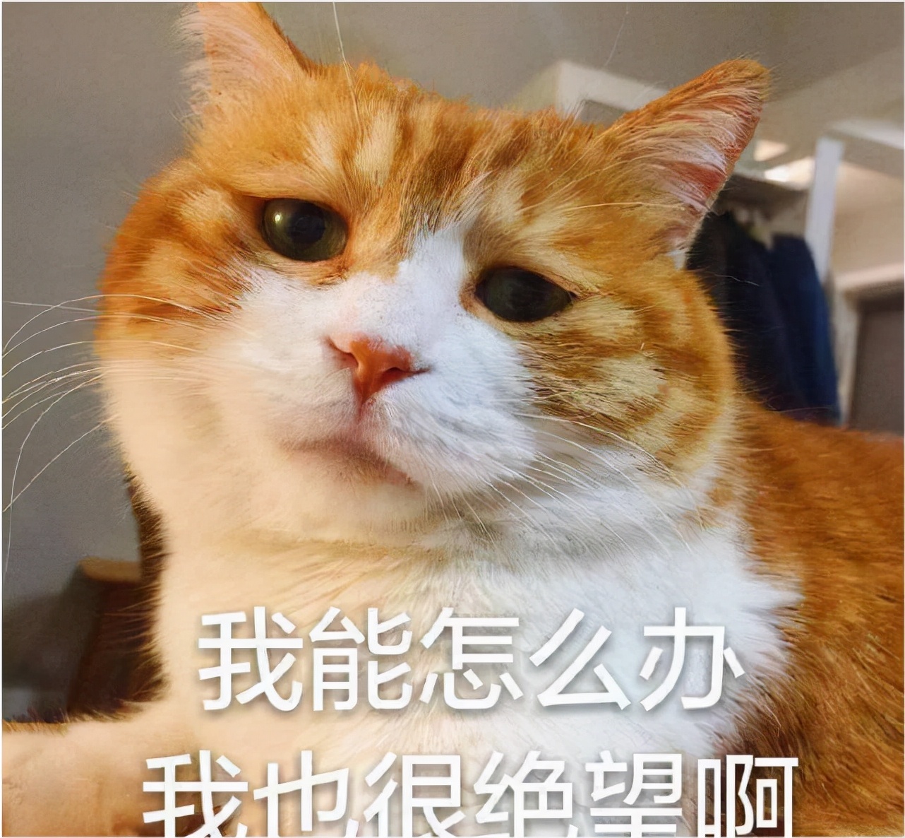 吉林女学生在教室哭诉数学太难了,吉林姑娘哭诉数学题