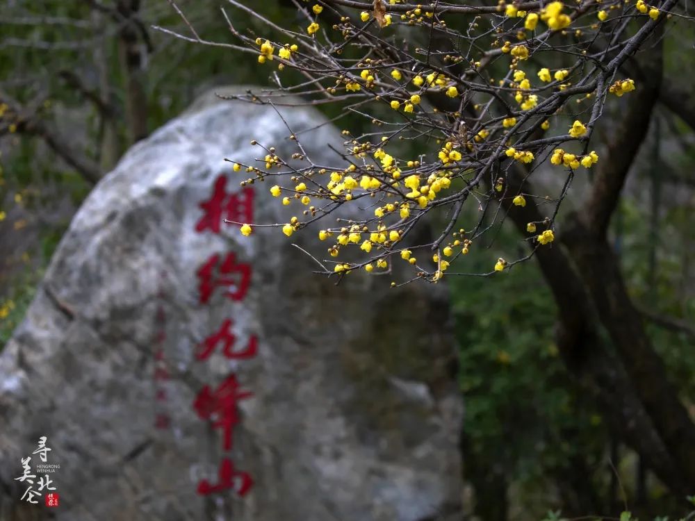 北仑徒步爬山推荐,北仑冷门爬山路线