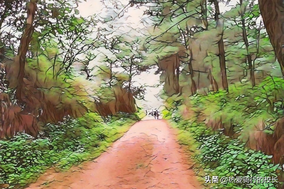 雨天出门骑行注意事项有哪些,雨季长途骑行需要注意什么