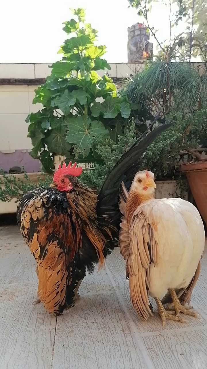 你不知道的五大世界纪录,你不知道的十个世界纪录