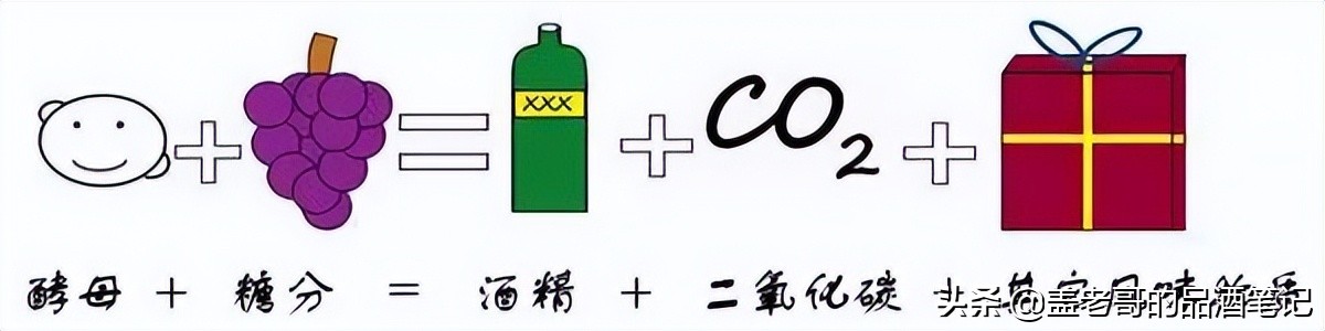 葡萄酒相关知识的简单介绍怎么写,葡萄酒有哪些主要分类方法