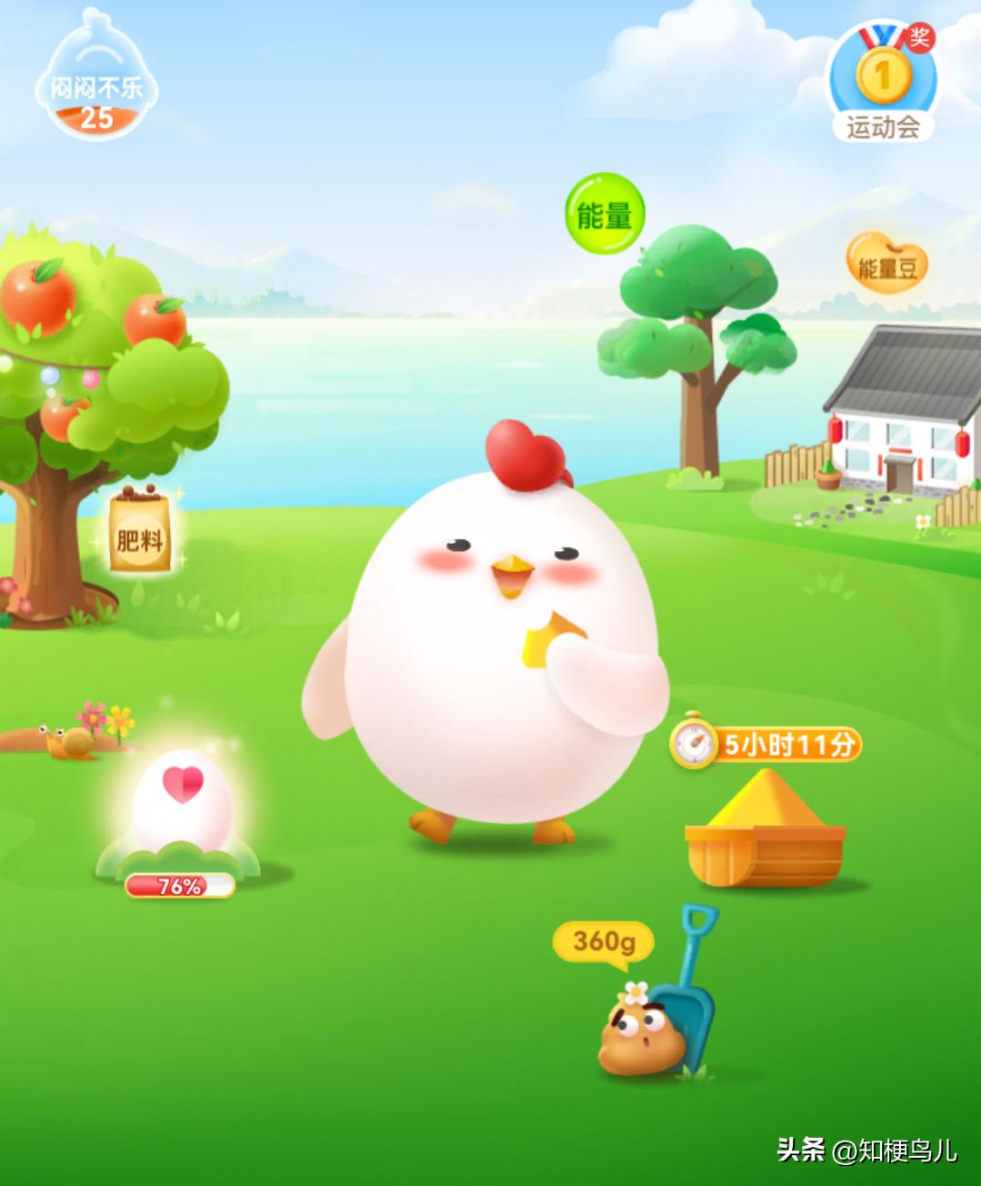 2020蚂蚁庄园11月6日答案汇总,蚂蚁庄园神奇海洋今日答案