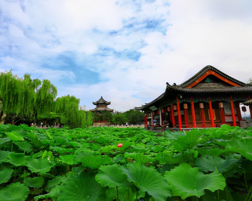 美爆了济南这些地方成网红打卡地,2019年济南网红打卡地瀑布树林