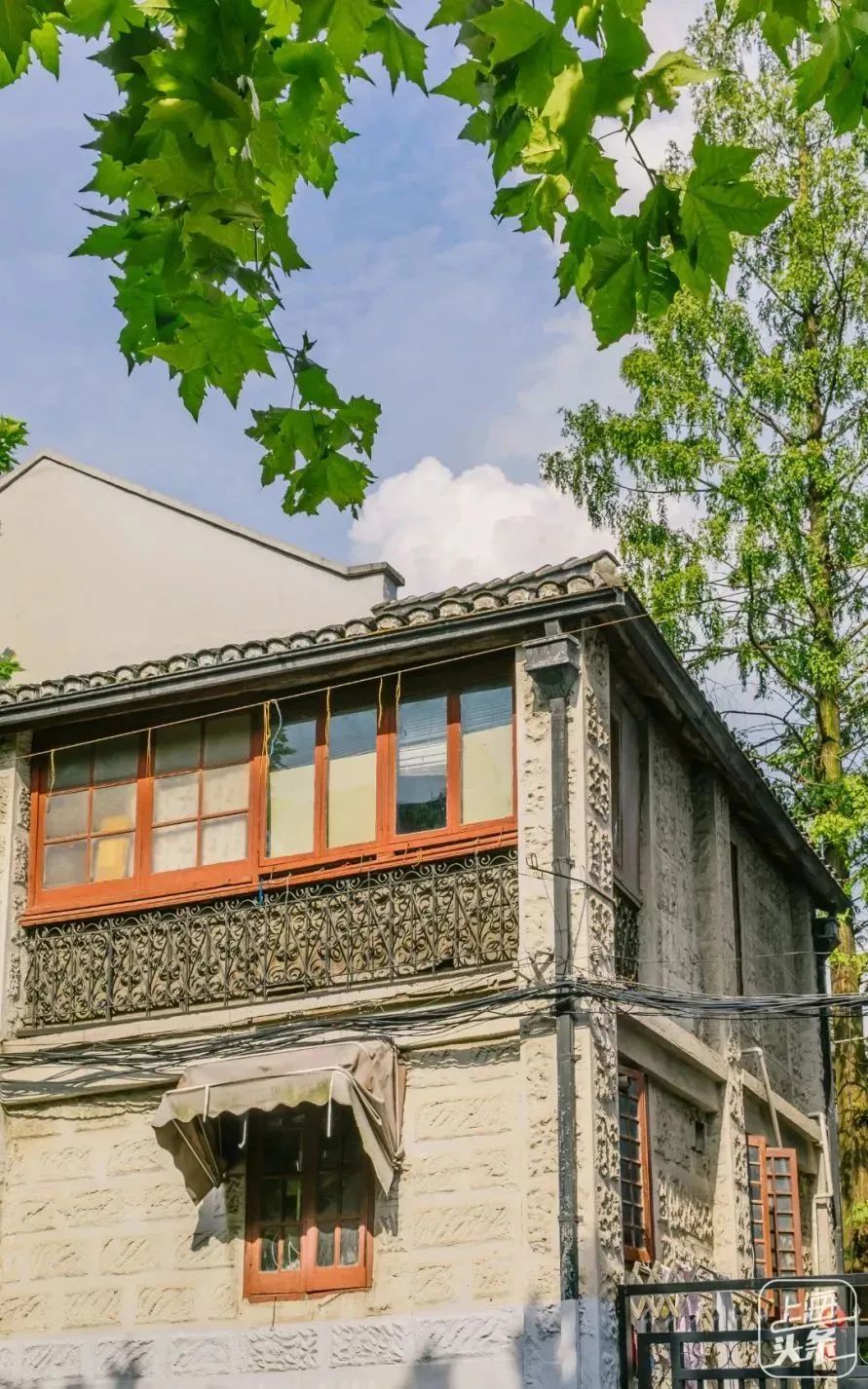 上海周末骑行好去处,上海周边适合春天骑行的地方排名