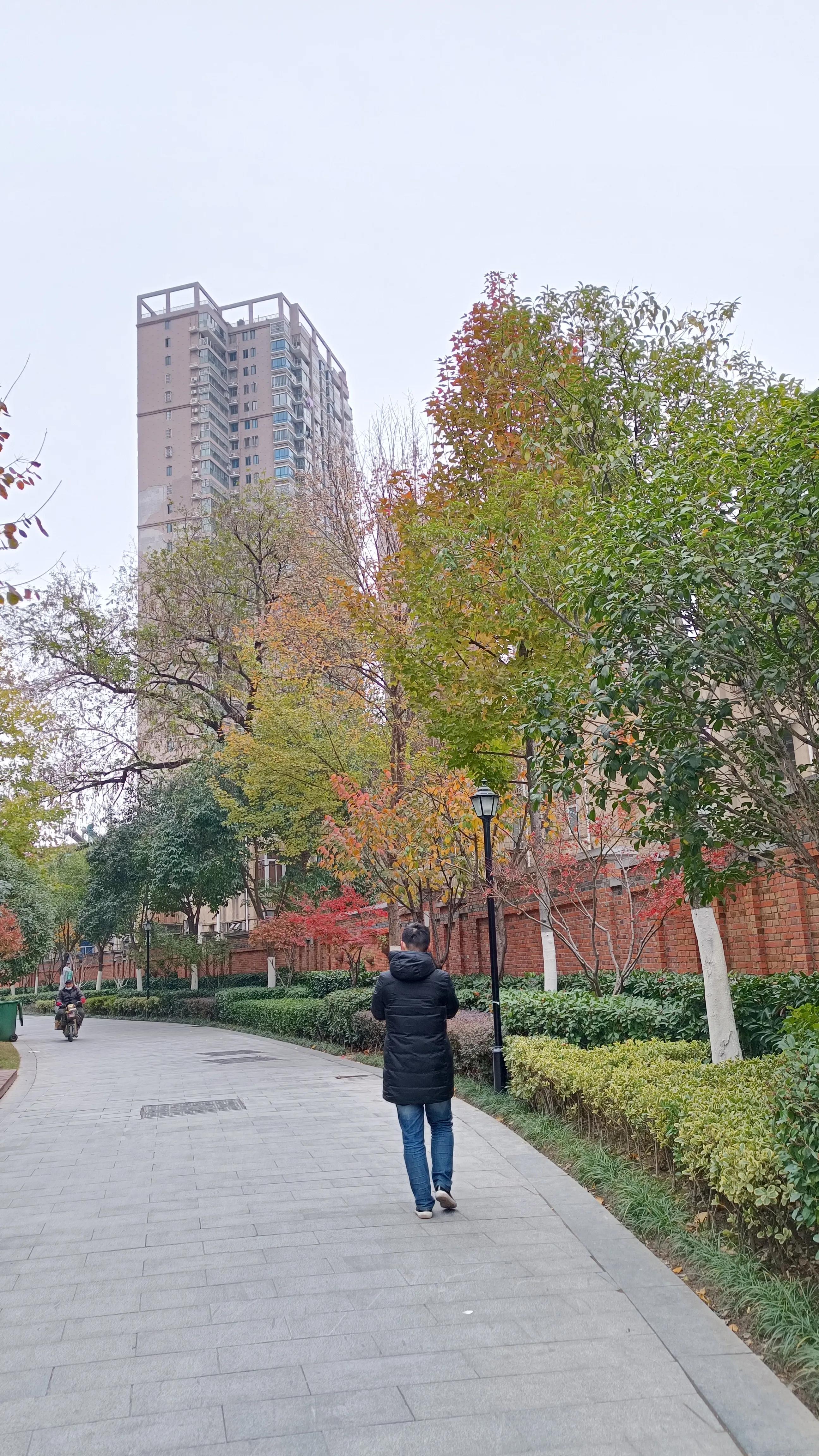 谁家的猫咪，趴在太阳底下，慵懒优雅