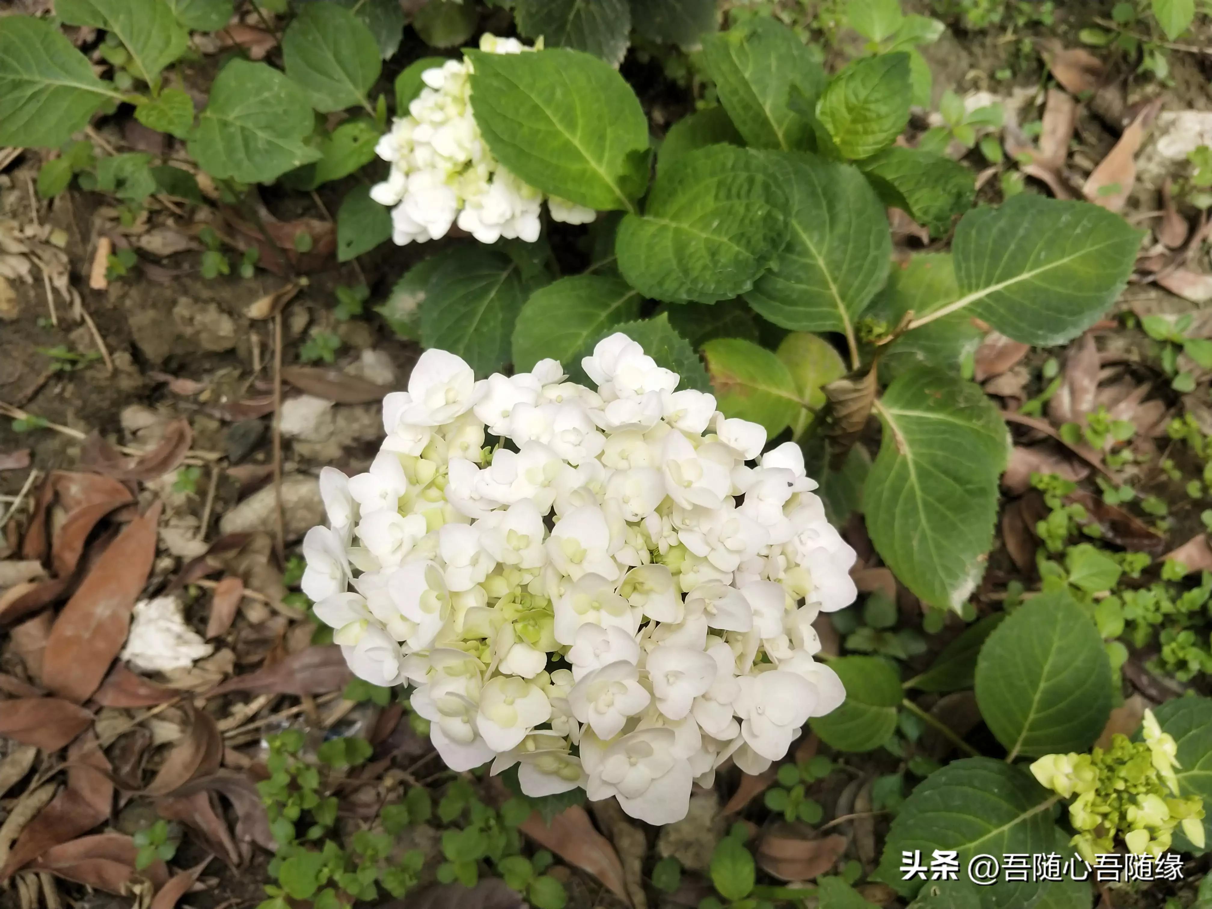 长期睡眠不好，有没有想过或许是因为睡觉朝向的问题引起的呢？