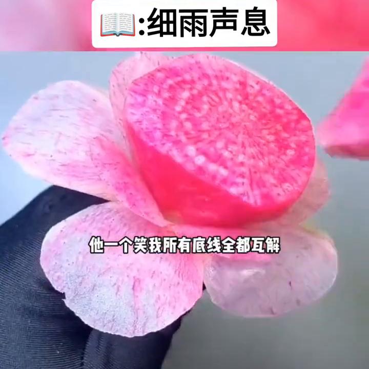 细雨声息@DOU+小助手