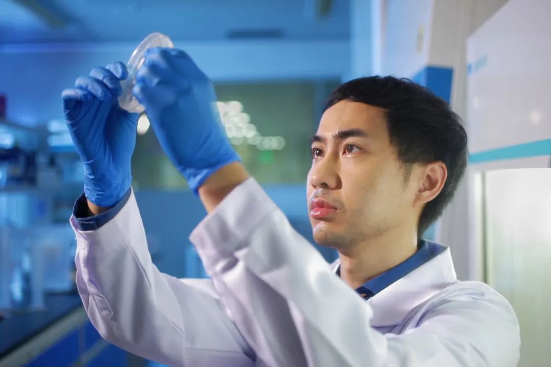 基因检测16800有必要做吗,基因检测cps等于零好吗