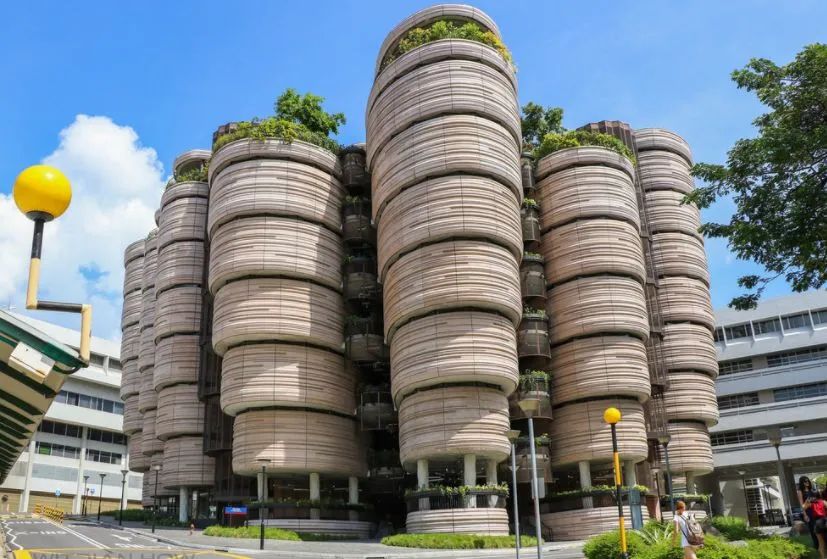 太low英语单词,太low英文翻译