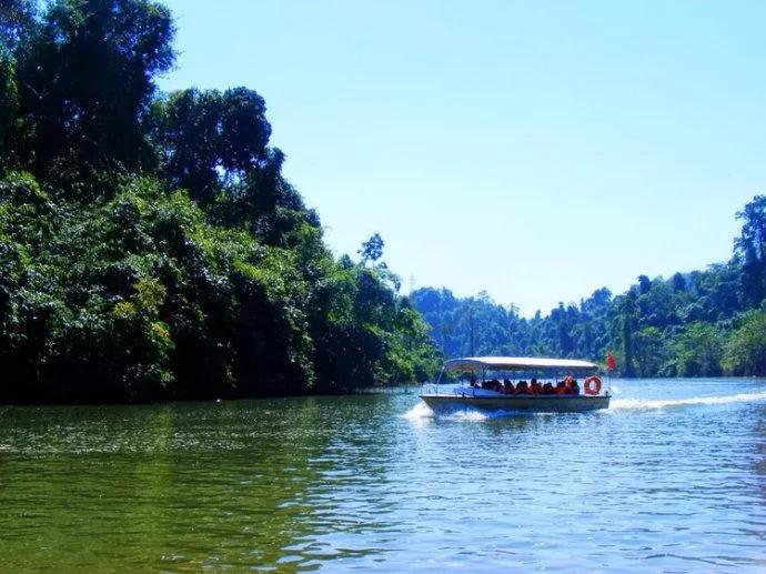 云南西双版纳旅游攻略app,云南西双版纳旅游攻略自由行12月